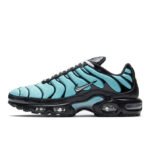 Nike Air Max TN (Aqua Silver)