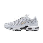 Nike Air Max TN France White