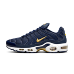 Nike Air Max Plus (French Football Federation)