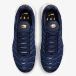 Nike Air Max Plus (French Football Federation) - Image 3