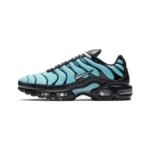 Nike Air Max TN (Aqua Silver)